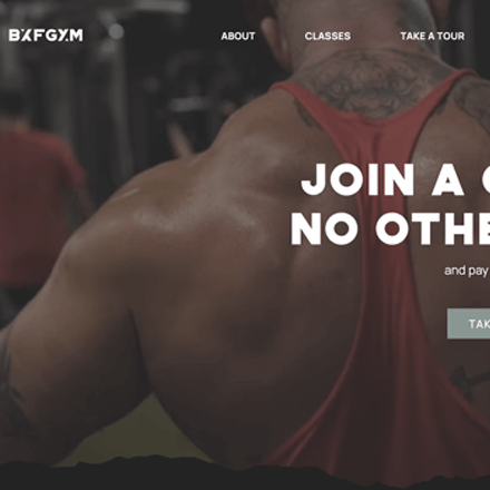 BXFGYMS